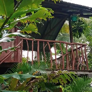  Vakantieboerderij Sigiri Panaromic Tree House